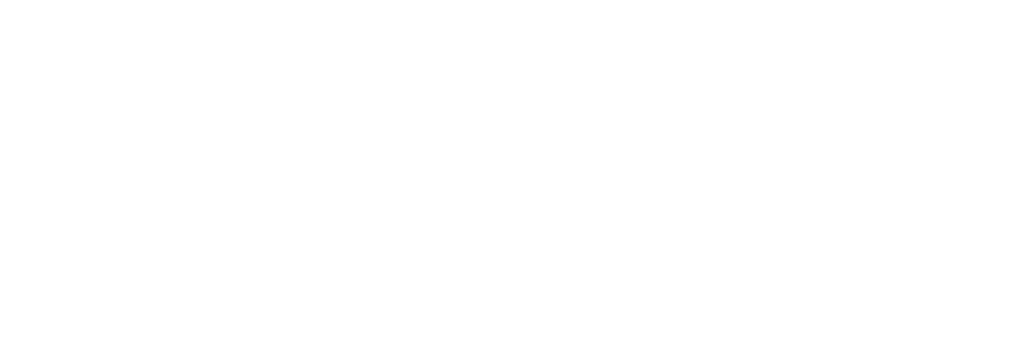 Microsoft Partner logo